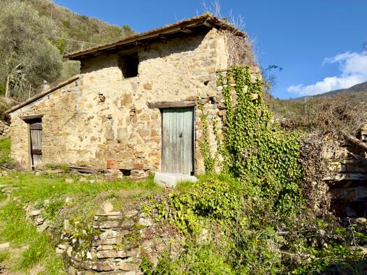 Rustico zum Kauf 50.000 € 3 Zimmer 25 m² 5.205 m² Grundstück frei ab sofort Apricale 18035