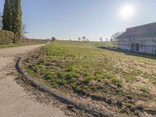 Grundstück zum Kauf provisionsfrei 289.000 € 707 m² Grundstück Seelscheid Neunkirchen-Seelscheid / Seelscheid 53819