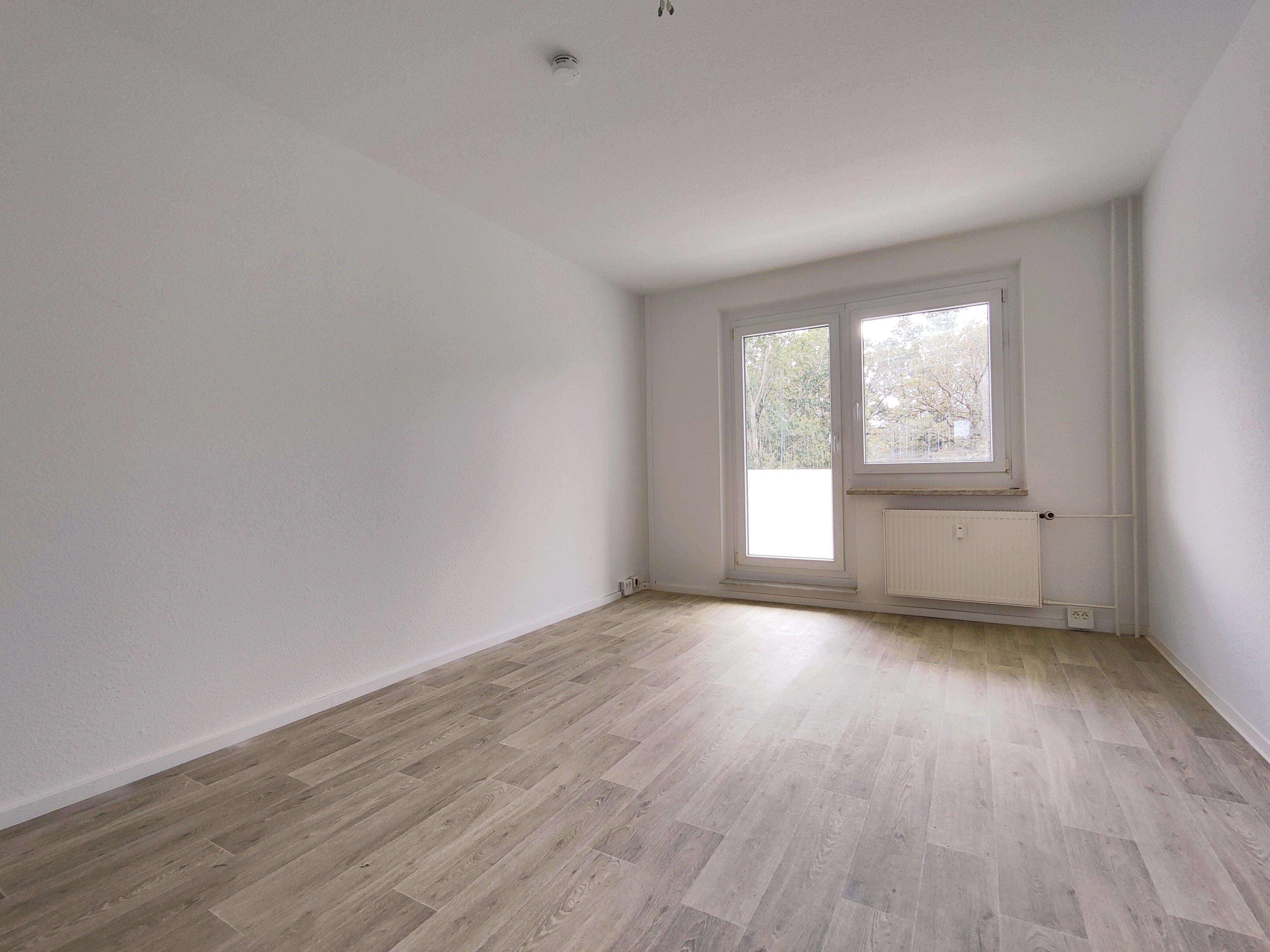 Wohnung zur Miete 310 € 2 Zimmer 47,3 m²<br/>Wohnfläche 2.<br/>Geschoss An der Holzecke 24 Grimma Grimma 04668