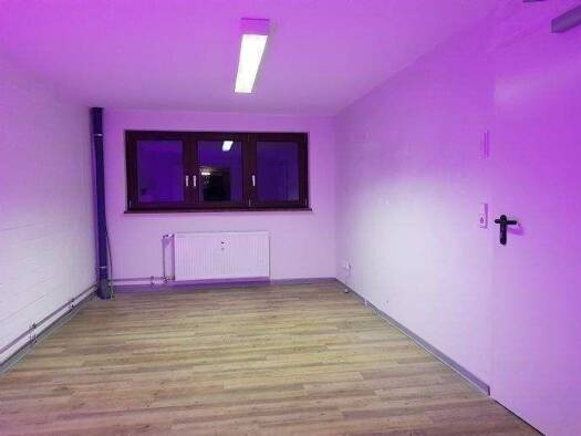 Bürogebäude zur Miete 390 € 1 Zimmer 27 m² Bürofläche Klosterrunsstr. 19 Müllheim 79379