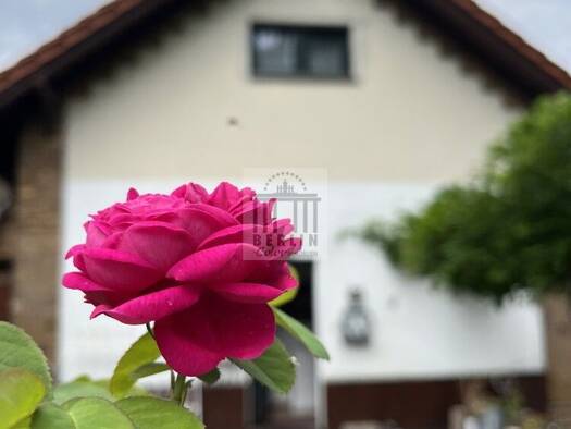 Einfamilienhaus zum Kauf 339.000 € 9 Zimmer 220 m² 890 m² Grundstück Calau Calau 03205