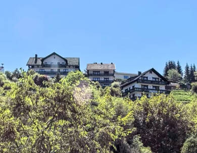 Haus zum Kauf 379.000 € 950 m² 6.362 m² Grundstück Walkenried 37445