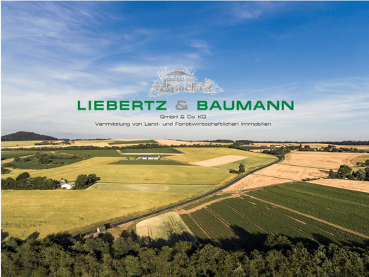 Land-/Forstwirtschaft zum Kauf 121.170 m² Grundstück Zaschwitz Großweitzschen 04720