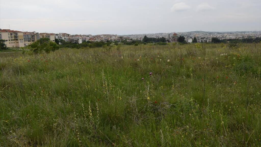 Land-/Forstwirtschaft zum Kauf 2.200.000 € 4.960 m² Grundstück Thessaloniki
