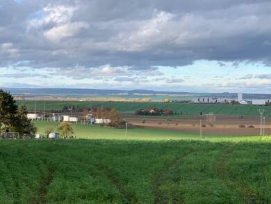 Land-/Forstwirtschaft zum Kauf 137.400 € 4.580 m² Grundstück Bad Langensalza Bad Langensalza 99947