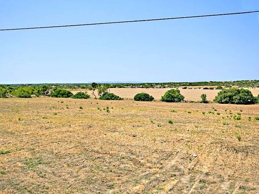 Grundstück zum Kauf provisionsfrei 299.000 € 14.316 m² Grundstück ses Salines