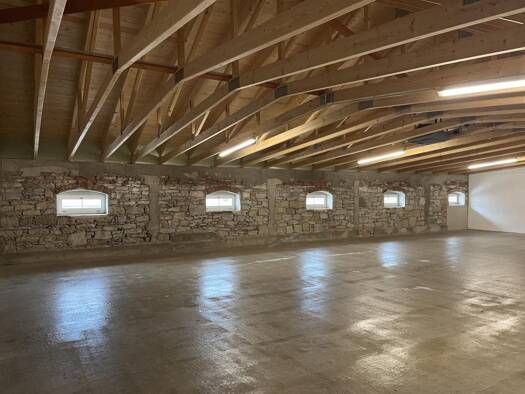 Lagerhalle zur Miete provisionsfrei 690 € 179 m² Lagerfläche teilbar ab 179 m² Plauen Ortsamtsbereich Plauen 01187