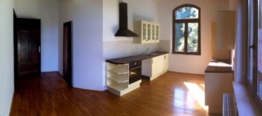 Wohnung zur Miete 870 € 2 Zimmer 87,8 m² 1. Geschoss Reilstr. 97 Giebichenstein Halle (Saale) 06114