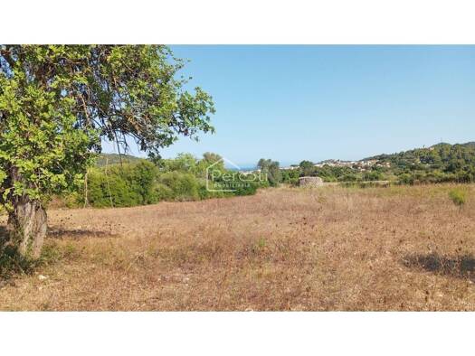 Acker-/Waldstück zum Kauf 450.000 € sON SERVERA 00 Artà 07550