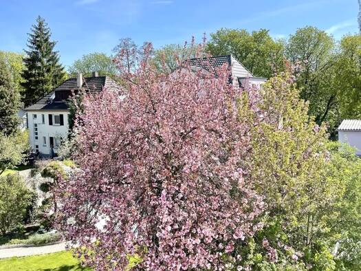 Wohnung zur Miete 1.200 € 2,5 Zimmer 64 m² Geschoss 2/2 Mitte Sindelfingen 71065