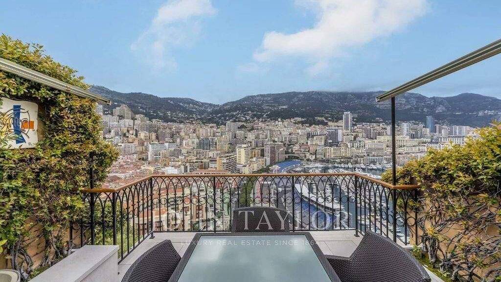 Haus zum Kauf 28.000.000 € 346 m² Monaco