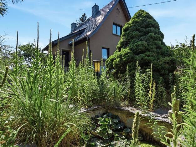Sonstiges zum Kauf 199.500 € 5 Zimmer 110 m² 4.000 m² Grundstück Jerisau Glauchau 08371