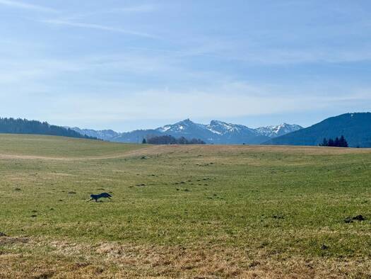 Grundstück zum Kauf 675.000 € 1.080 m² Grundstück Bad Kohlgrub 82433