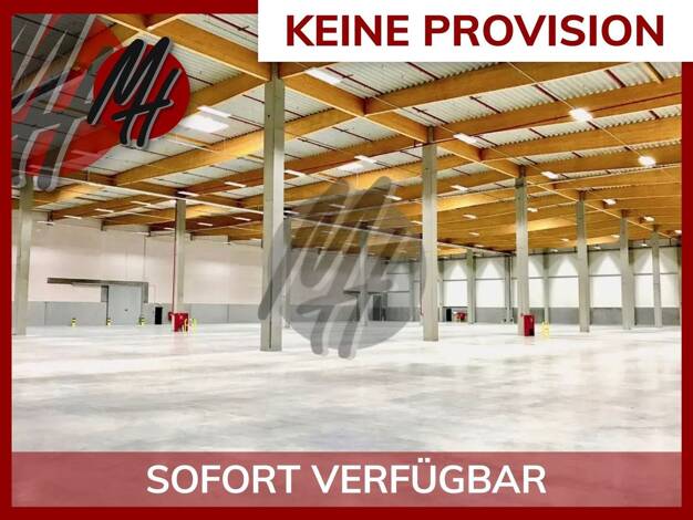 Halle/Industriefläche zur Miete provisionsfrei 5,95 € 8.600 m² Lagerfläche Ransbach-Baumbach 56235