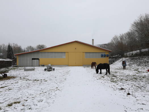 Reiterhof zum Kauf 390.000 € 5.452 m² Grundstück Eschwege 34269