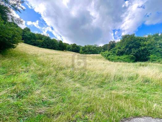 Land-/Forstwirtschaft zum Kauf 85.000 € 1.094 m² Grundstück Klosterneuburg 3400