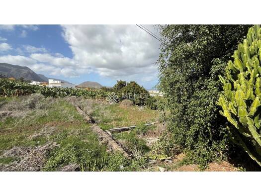 Acker-/Waldstück zum Kauf 199.500 € Garachico 38460