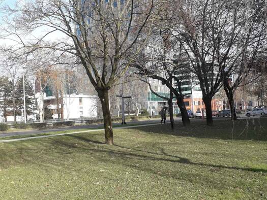 Haus zum Kauf 670.000 € Siegendorf 7011