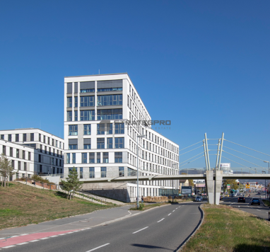 Bürofläche zur Miete provisionsfrei 6.630 m² Bürofläche teilbar ab 6.630 m² Langer Anger 3+5 Pfaffengrund - Süd Heidelberg 69115