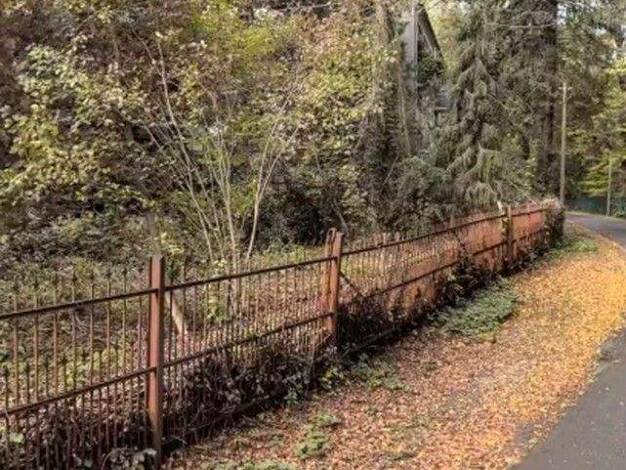 Grundstück zum Kauf provisionsfrei 59.000 € 1.779 m² Grundstück Uferweg 11 Bad Muskau 02953