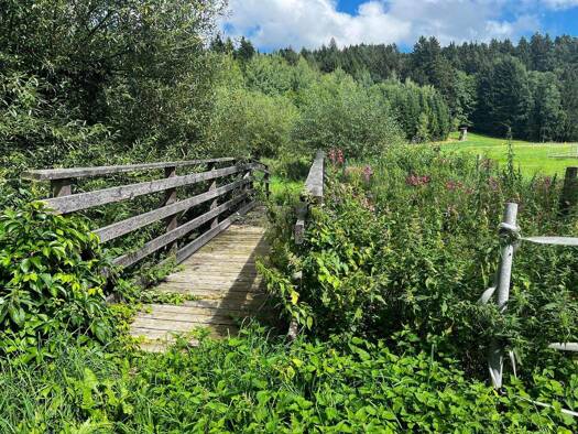 Einfamilienhaus zum Kauf 499.000 € 10 Zimmer 330 m² 3.500 m² Grundstück Gunzing Außernzell 94532