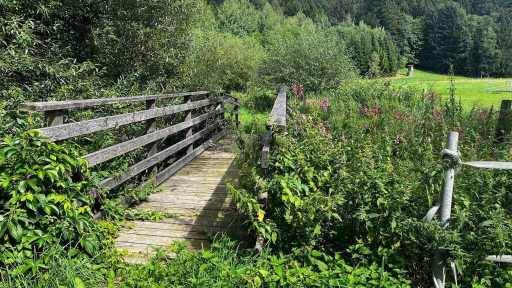 Einfamilienhaus zum Kauf 499.000 € 10 Zimmer 330 m² 3.500 m² Grundstück Gunzing Außernzell 94532