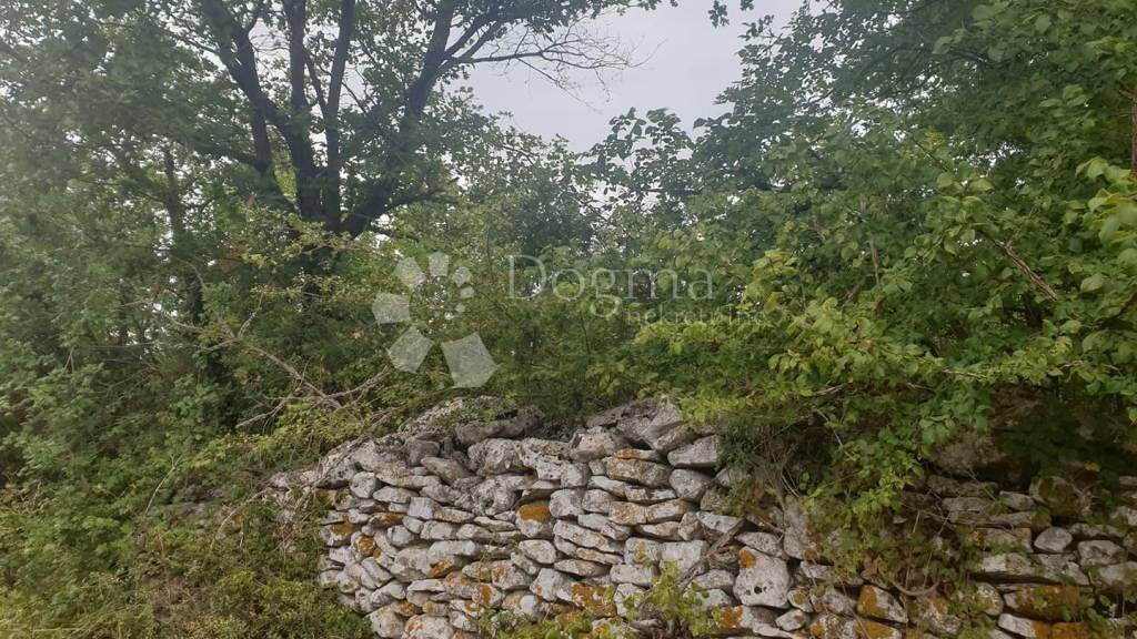 Land-/Forstwirtschaft zum Kauf 16.300 € Liznjan