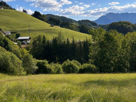 Grundstück zum Kauf 659.000 € 1.117 m² Grundstück Hallein 5422