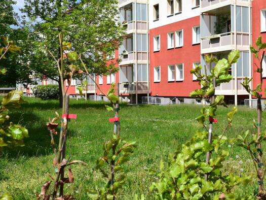 Wohnung zur Miete 367 € 3 Zimmer 61 m² 2. Geschoss Heinrich-Heine-Straße 43 Borna 04552