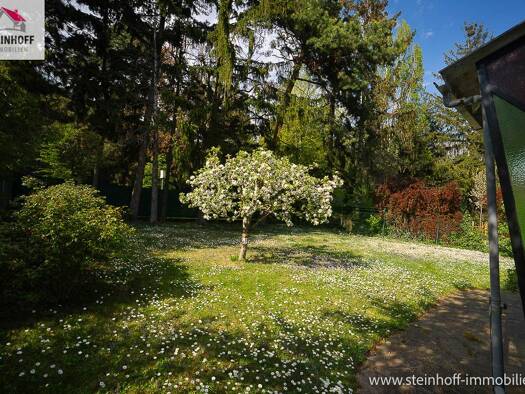Bungalow zum Kauf 699.000 € 5 Zimmer 130 m² 526 m² Grundstück Liesing 1230