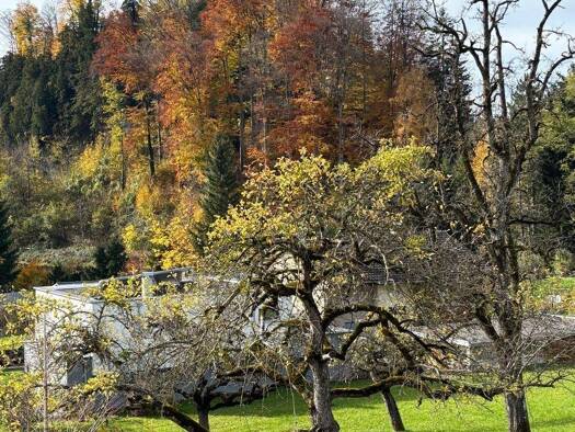 Grundstück zum Kauf St Rochus Weg 1 Hohenems 6845