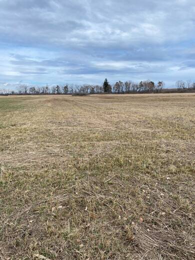 Land-/Forstwirtschaft zum Kauf 66.000 € 16.651 m² Grundstück Übersee Übersee 83236