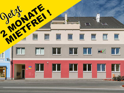 Wohnung zur Miete 746 € 57,3 m² Schremser Straße 28/8 Heidenreichstein 3860