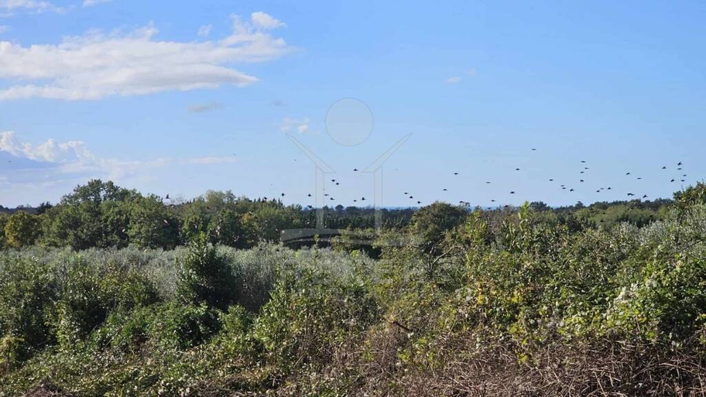 Grundstück zum Kauf 329.000 € 2.195 m² Grundstück Brtonigla 52466