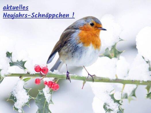 Mehrfamilienhaus zum Kauf 599.000 € 9 Zimmer 255 m² 938 m² Grundstück Großbottwar 71723