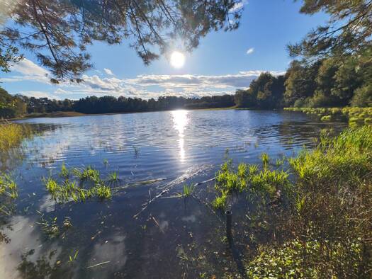 Freizeitgrundstück zum Kauf 89.000 € 1.017 m² Grundstück Kleinburgwedel Burgwedel 30938
