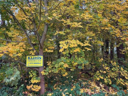 Grundstück zum Kauf 199.000 € 1.005 m² Grundstück Seestraße Wendisch Rietz 15864