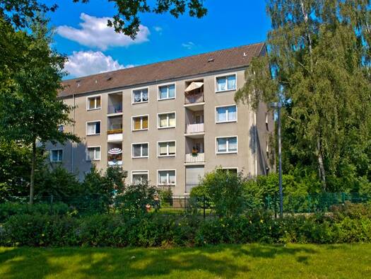 Wohnung zur Miete 409 € 3,5 Zimmer 64,8 m² 1. Geschoss Heringstraße 51 Brauck Gladbeck 45968
