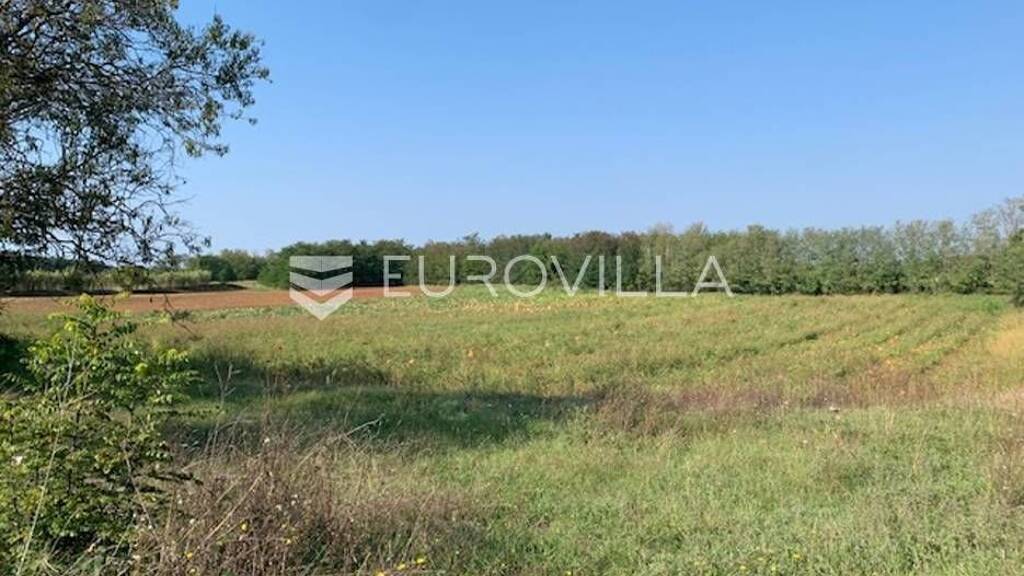 Land-/Forstwirtschaft zum Kauf 225.945 € Dracevac Mugeba - Valkarin 52440