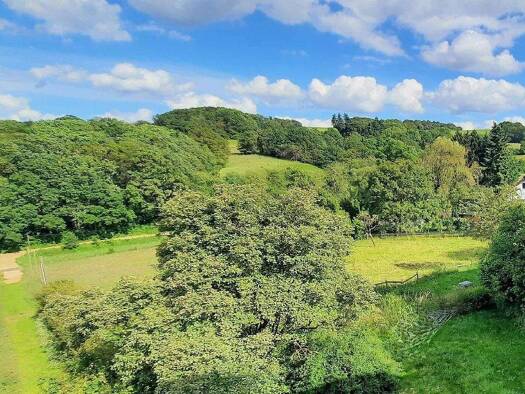 Grundstück zum Kauf 99.000 € 1.357 m² Grundstück Bouderath Nettersheim 53947