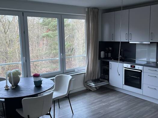 Wohnung zur Miete 650 € 2 Zimmer 42 m² 2. Geschoss frei ab 15.10.2026 Geesthacht 21502