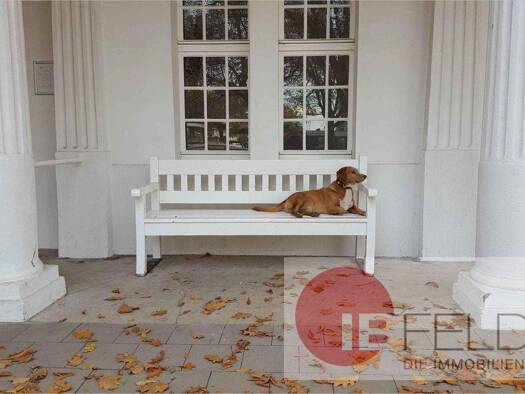 Haus zum Kauf 538.000 € 180 m² 778 m² Grundstück Gierath Jüchen 41363