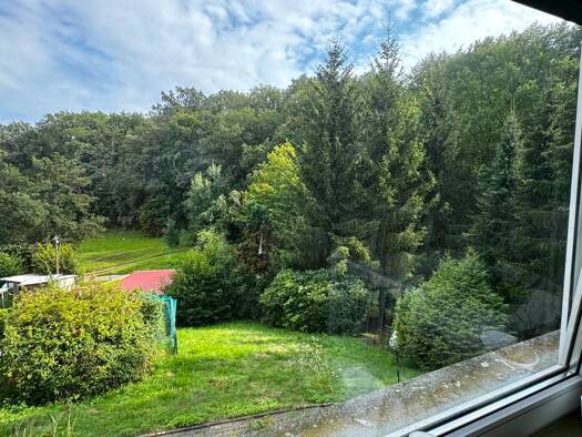 Einfamilienhaus zum Kauf 99.000 € 3 Zimmer 57 m² 1.150 m² Grundstück Meisdorf Falkenstein/Harz 06463