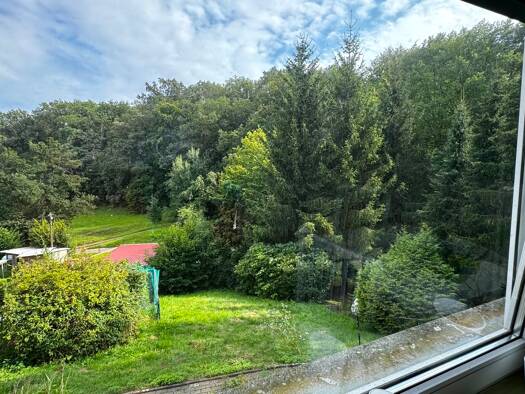 Einfamilienhaus zum Kauf 99.000 € 3 Zimmer 57 m² 1.150 m² Grundstück Meisdorf Falkenstein/Harz 06463