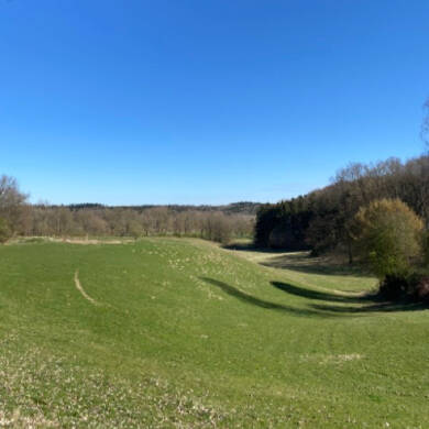 Grundstück zum Kauf 295.000 € 734 m² Grundstück Westerhof Rosengarten 21224