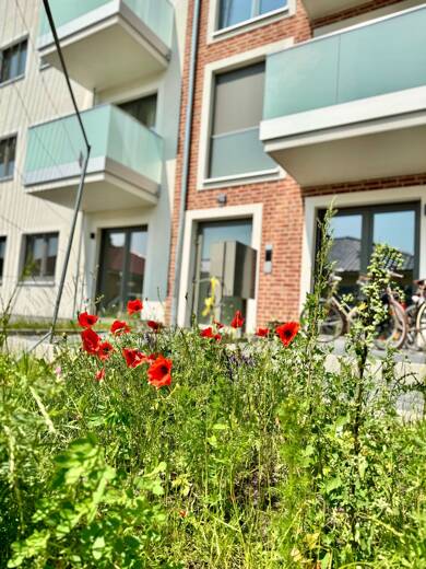 Terrassenwohnung zum Kauf - Erstbezug provisionsfrei 410.000 € 2 Zimmer 71,4 m² 2. Geschoss Neuruppin Neuruppin 16816