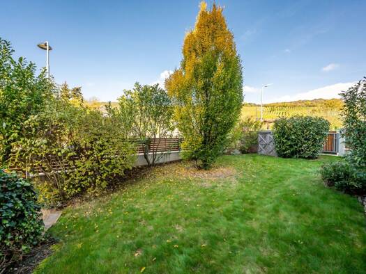 Wohnung zur Miete 3.735 € 5 Zimmer 210,2 m² EG Döbling 1190