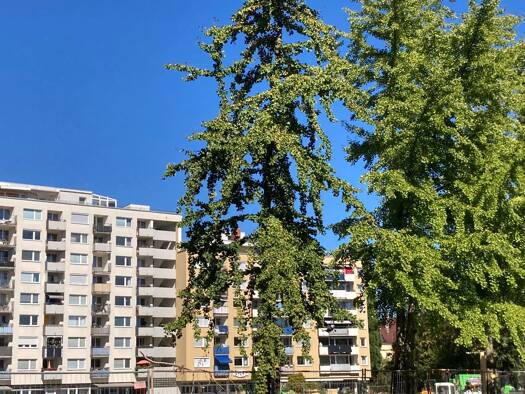 Wohnung zum Kauf provisionsfrei 182.000 € 1 Zimmer 43 m² Geschoss 2/8 Zähringen Freiburg im Breisgau 79108