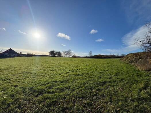 Grundstück zum Kauf 420.000 € 5.017 m² Grundstück Wulfsfelde Pronstorf 23820