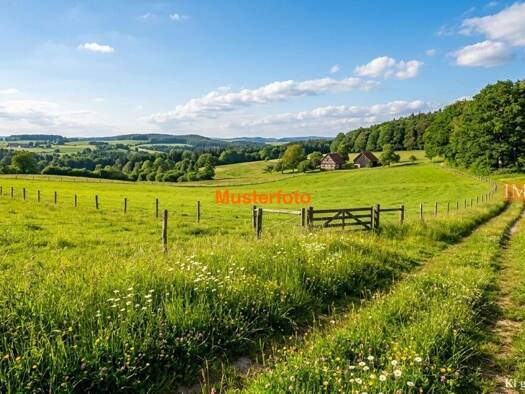Land-/Forstwirtschaft zum Kauf provisionsfrei 18.000 € 9.981 m² Grundstück Neuershausen March 79232
